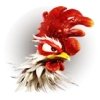 Rooster Fighting Game