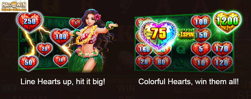 Hawaii Beauty Slot Machine, JILI Hawaii Beauty Slot Games