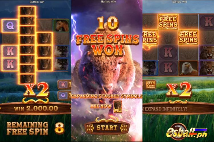 How to Get Buffalo Win PG Slot Free Spins