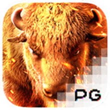 PG Soft Buffalo Win Slot