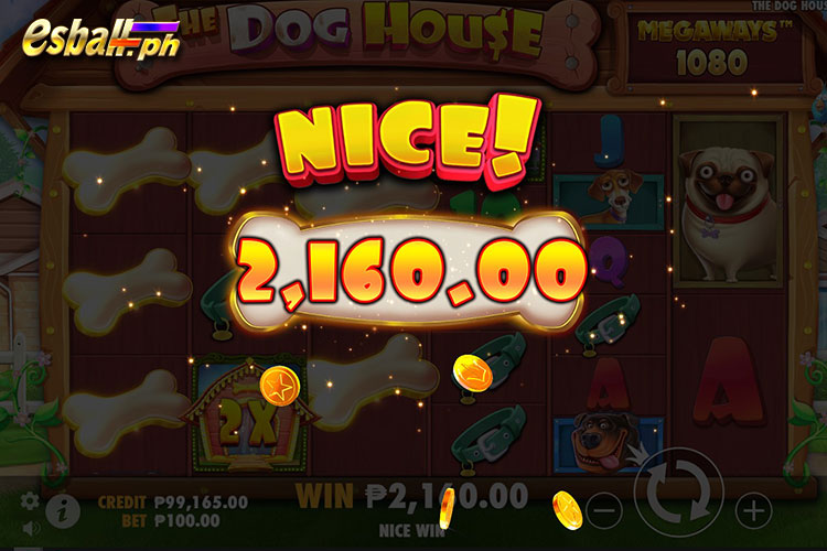 How to Win The Dog House Megaways Max Win 2,160