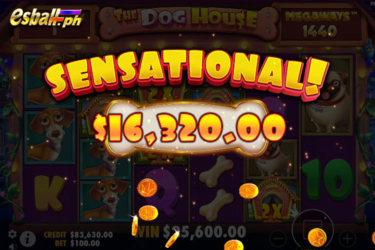 How to Win The Dog House Megaways Max Win 16,320