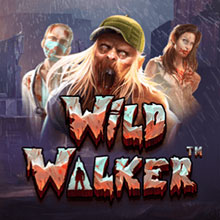 Pragmatic Play Wild Walker Slot Game