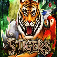 PS 5 Tigers Slot Game, Animal Gone Wild – Higher Chance Win Big