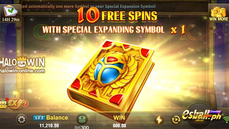 Different Types of Free Spin Features