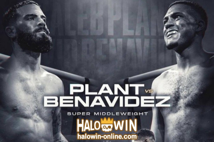 David Benavidez vs Caleb Plant Mar 25th 2023 Boxing Champion