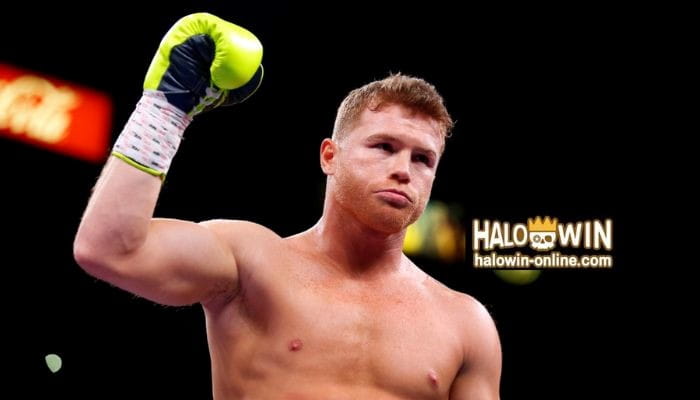 Canelo Alvarez vs Caleb Plant Undisputed Champion Fight