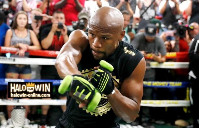 Boxing News: Undefeated Legacy Floyd Mayweather's Journey