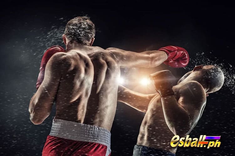 Teach You How Does Boxing Odds Work? Tips for Newbies