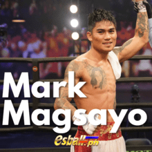 Mark Magsayo: Journey of a Future Boxing Star and His Fights