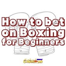 How to bet on Boxing for Beginners: A Detailed Guide
