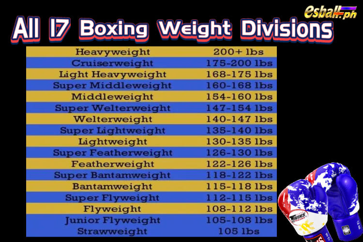 How many Division in Boxing & their Top Players