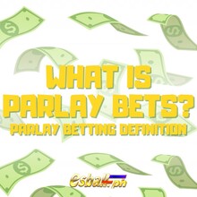 What Is Parlay Bets? Parlay Betting Definition