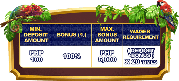 First Time Deposit 100% Bonus