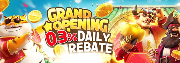 HaloWin Casino 0.3% Daily Rebate